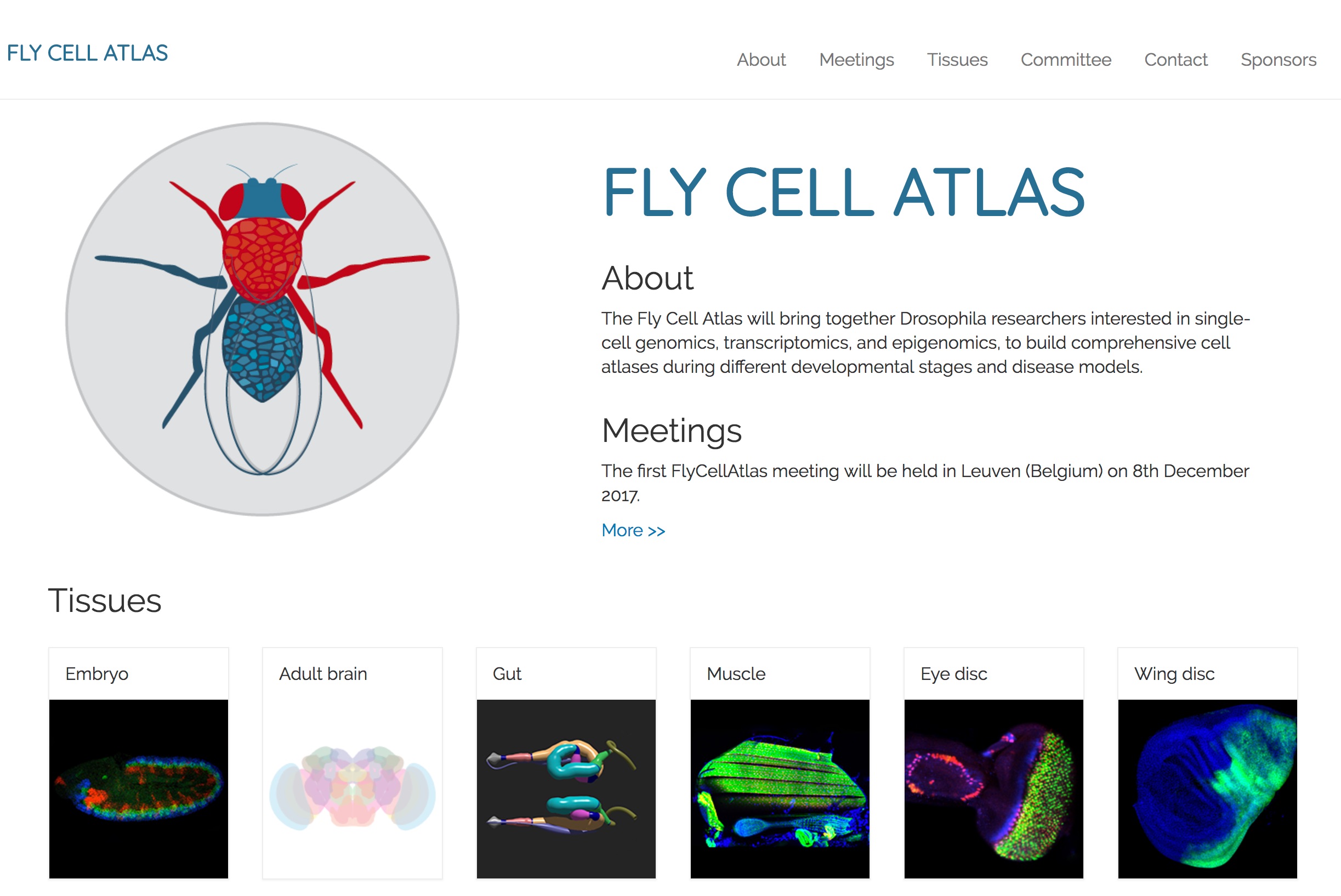 Screenshot of the Fly Cell Atlas website home page