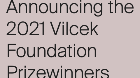 Screenshot from a Vilcek Foundation webpage