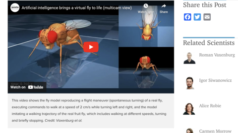 screenshot of the HHMI Janelia Research Campus news post online