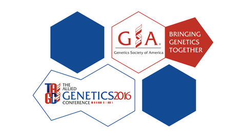 The Allied Genetic Conference 2016 logo from the GSA