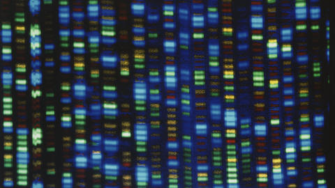 Abstracted artistic view of DNA sequence or fragments