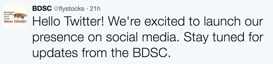 BDSC tweet from Match 14, 2017