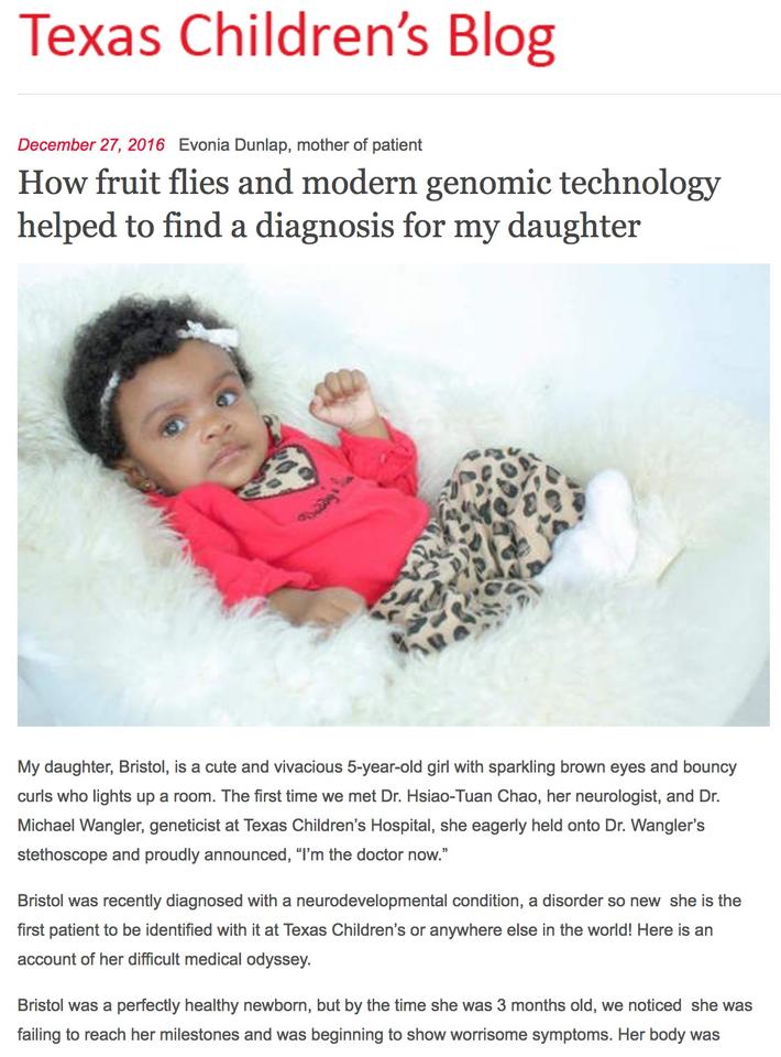 Screenshot of the TCH blog post related to fly research